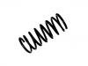 Coil Spring:460 324 08 04