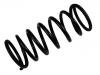 Coil Spring:460 324 05 04