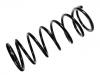 Coil Spring:460 324 03 04