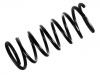 Coil Spring:460 324 07 04