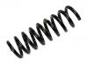 Coil Spring:210 324 36 04