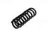 Coil Spring:230 321 02 04