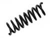 Coil Spring:202 324 17 04