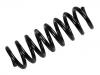 Coil Spring:202 324 25 04