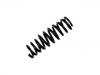 Coil Spring:124 324 33 04