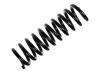 Coil Spring:124 324 16 04