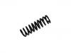 Coil Spring:124 324 34 04