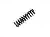 Coil Spring:124 321 41 04