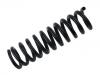 Coil Spring:124 321 31 04