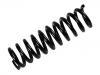 Coil Spring:124 321 30 04