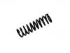 Coil Spring:124 321 40 04