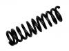 Coil Spring:124 321 29 04