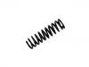 Coil Spring:124 324 14 04