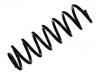 Coil Spring:168 324 16 04