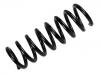 Coil Spring:202 324 31 04