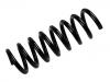 Coil Spring:210 324 17 04