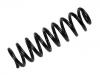 Coil Spring:210 321 24 04