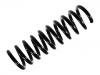 Coil Spring:202 324 24 04