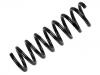 Coil Spring:202 324 22 04