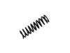 Coil Spring:202 324 10 04