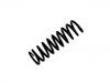 Coil Spring:202 321 10 04