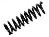 Coil Spring:202 321 09 04