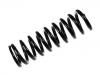 Coil Spring:202 324 09 04