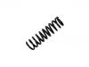 Coil Spring:202 321 11 04