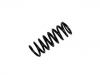 Coil Spring:140 324 16 04