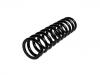 Coil Spring:129 321 16 04