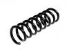 Coil Spring:204 324 03 04