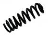 Coil Spring:164 324 03 04