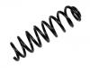 Coil Spring:164 321 02 04