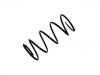 Coil Spring:MR272830