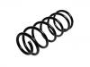 Coil Spring:54010-20J10