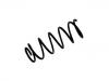 Coil Spring:54010-20J00