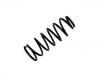 Coil Spring:54010-VB974