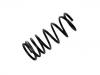 Coil Spring:55020-VB202