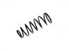 Coil Spring:54010-VB924