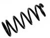 Coil Spring:55020-3M513