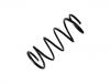 Coil Spring:54010-31U24