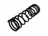 Coil Spring:55020-82N00