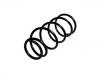 Coil Spring:54010-6M074