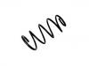 Fahrwerksfeder Coil Spring:REB000460