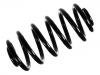 Muelle de chasis Coil Spring:RKB106811