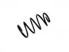 Muelle de chasis Coil Spring:REB000470