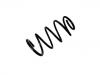 Coil Spring:REB000480