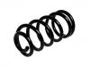 Coil Spring:GSV 1034