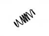 Muelle de chasis Coil Spring:454 324 0904