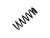 Coil Spring:20380-AE260